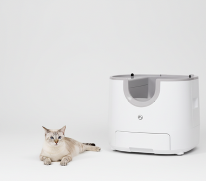 Litière autonettoyante pour chat