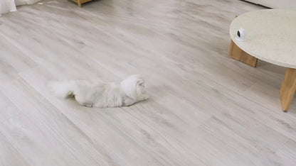 Jouet laser automatique pour chat P32